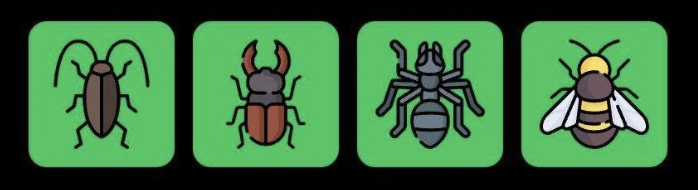 FLIES Daily Combo 14 July 2025